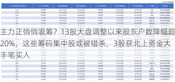 主力正悄悄吸筹？13股大盘调整以来股东户数降幅超20%，这些筹码集中股或被错杀，3股获北上资金大手笔买入