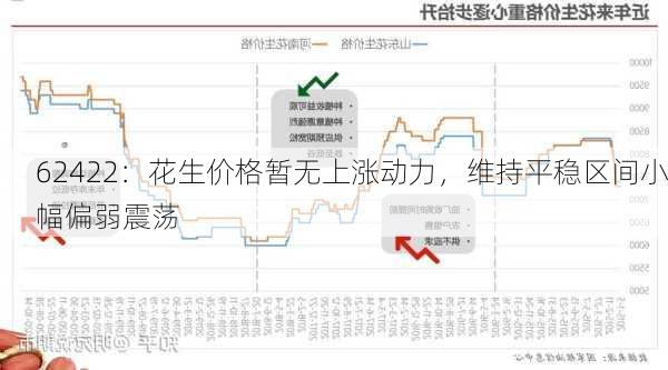 62422：花生价格暂无上涨动力，维持平稳区间小幅偏弱震荡