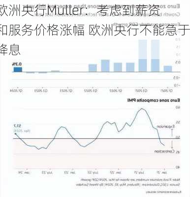 欧洲央行Muller：考虑到薪资和服务价格涨幅 欧洲央行不能急于降息