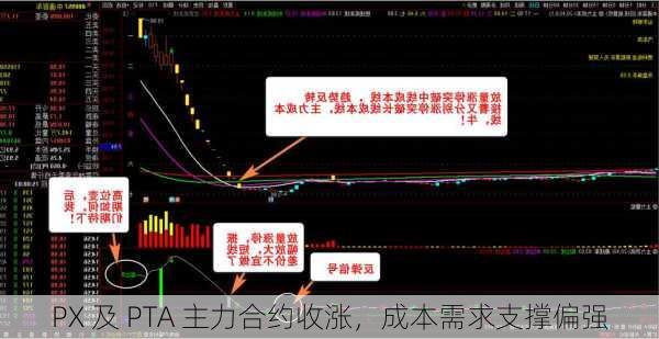 PX 及 PTA 主力合约收涨，成本需求支撑偏强