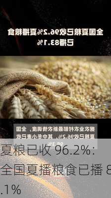 夏粮已收 96.2%：全国夏播粮食已播 83.1%