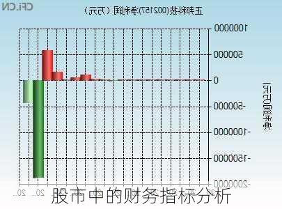 股市中的财务指标分析