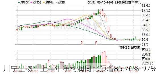 川宁生物：上半年净利润同比预增86.76%-97%
