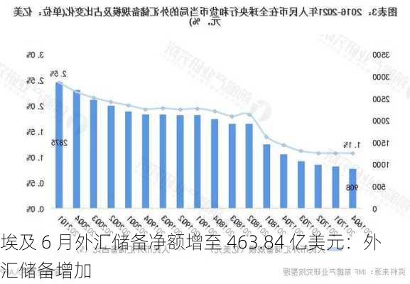 埃及 6 月外汇储备净额增至 463.84 亿美元：外汇储备增加