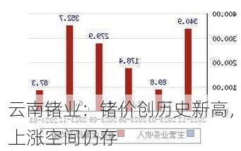 云南锗业：锗价创历史新高，上涨空间仍存