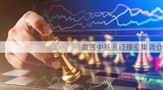 震荡中基金经理密集调仓