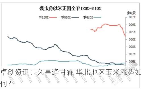 卓创资讯：久旱逢甘霖 华北地区玉米涨势如何？