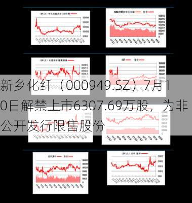 新乡化纤（000949.SZ）7月10日解禁上市6307.69万股，为非公开发行限售股份