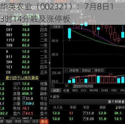 华英农业（002321）：7月8日13时14分触及涨停板