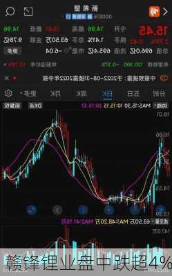 赣锋锂业盘中跌超4%