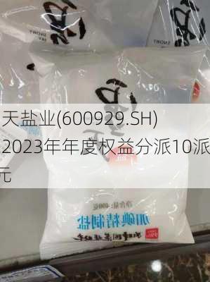 雪天盐业(600929.SH)：2023年年度权益分派10派2元