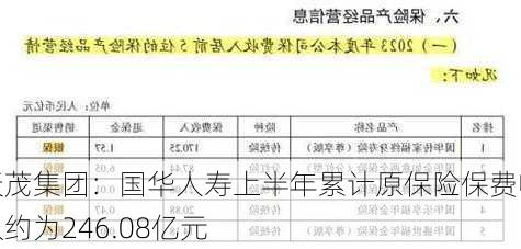 天茂集团：国华人寿上半年累计原保险保费收入约为246.08亿元