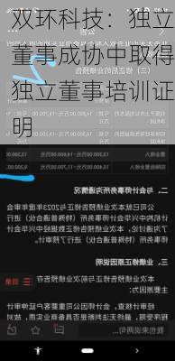 双环科技：独立董事成协中取得独立董事培训证明