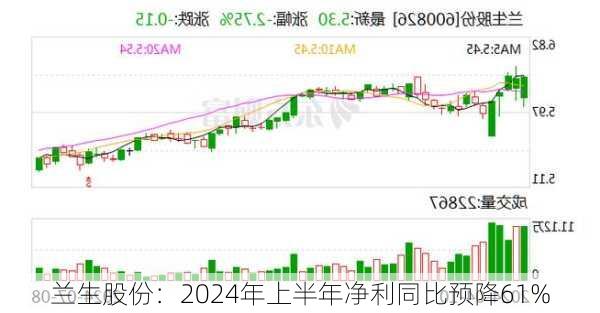 兰生股份：2024年上半年净利同比预降61%