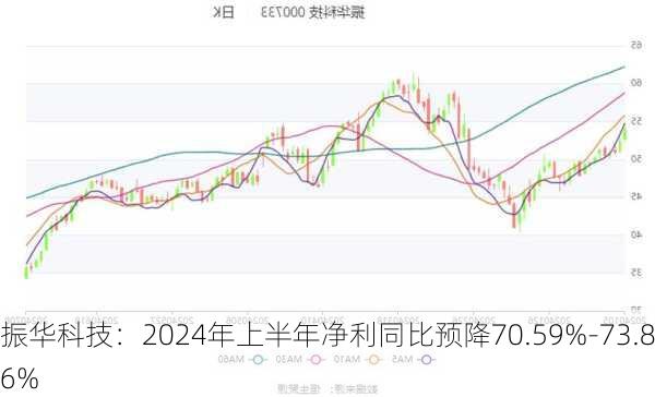 振华科技：2024年上半年净利同比预降70.59%-73.86%