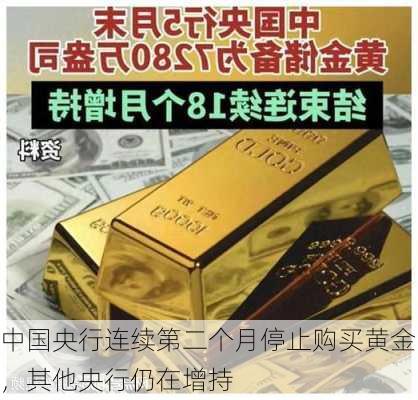 中国央行连续第二个月停止购买黄金，其他央行仍在增持