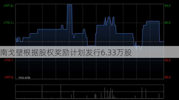 南戈壁根据股权奖励计划发行6.33万股