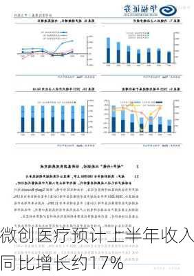 微创医疗预计上半年收入同比增长约17%