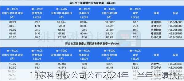 13家科创板公司公布2024年上半年业绩预告