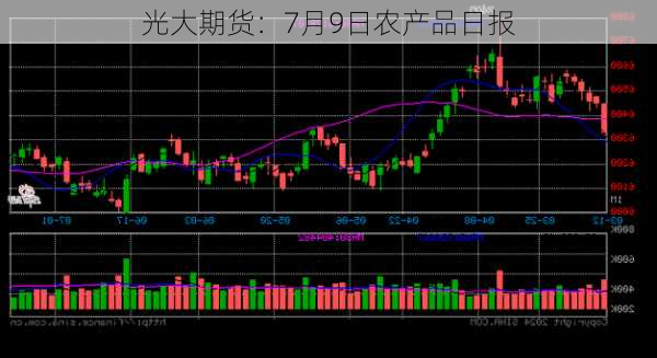 光大期货：7月9日农产品日报