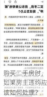 购买二手房时，如果房主违约应该如何处理？