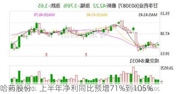 哈药股份：上半年净利同比预增71%到105%