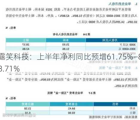 露笑科技：上半年净利同比预增61.75%―88.71%