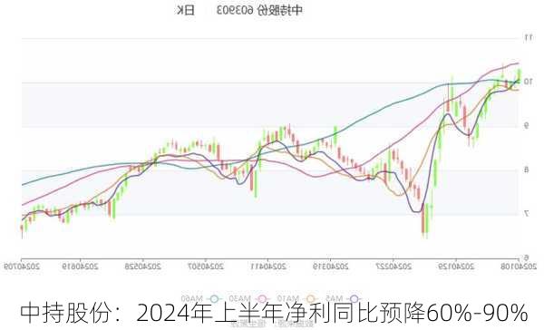 中持股份：2024年上半年净利同比预降60%-90%