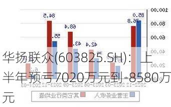 华扬联众(603825.SH)：上半年预亏7020万元到-8580万元