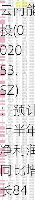 云南能投(002053.SZ)：预计上半年净利润同比增长84.5%至94.57%