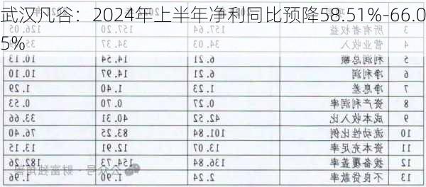 武汉凡谷：2024年上半年净利同比预降58.51%-66.05%