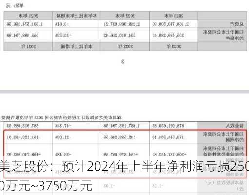 美芝股份：预计2024年上半年净利润亏损2500万元~3750万元