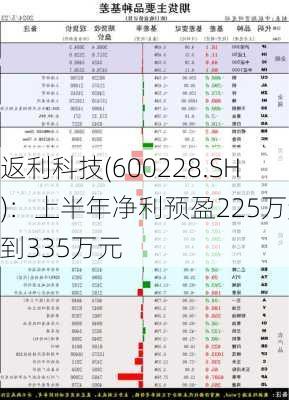 返利科技(600228.SH)：上半年净利预盈225万元到335万元