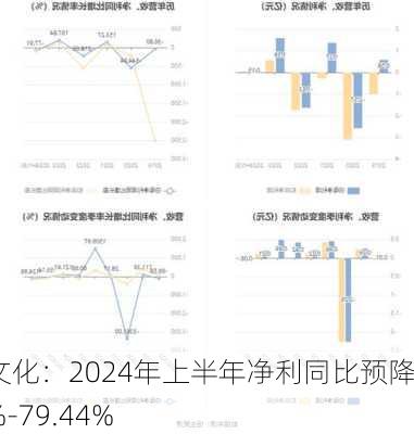 浙数文化：2024年上半年净利同比预降74.7%-79.44%