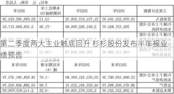 第二季度两大主业触底回升 杉杉股份发布半年报业绩预告