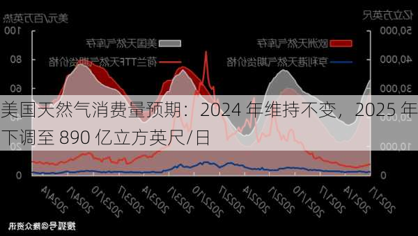 美国天然气消费量预期：2024 年维持不变，2025 年下调至 890 亿立方英尺/日