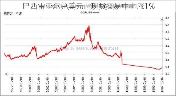 巴西雷亚尔兑美元：现货交易中上涨1%