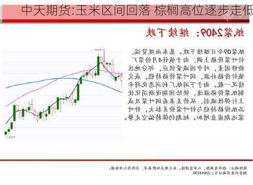 中天期货:玉米区间回落 棕榈高位逐步走低