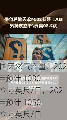 美国天然气产量：2024 年预计 1030 亿立方英尺/日，2025 年预计 1050 亿立方英尺/日