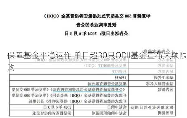 保障基金平稳运作 单日超30只QDII基金宣布大额限购