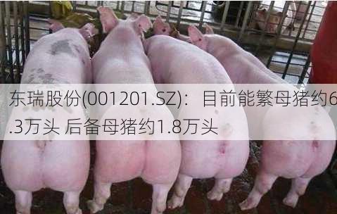 东瑞股份(001201.SZ)：目前能繁母猪约6.3万头 后备母猪约1.8万头