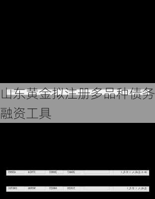 山东黄金拟注册多品种债务融资工具