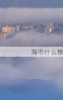 海市什么楼