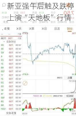 新亚强午后触及跌停 上演“天地板”行情