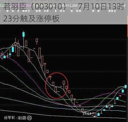 若羽臣（003010）：7月10日13时23分触及涨停板