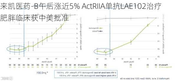 来凯医药-B午后涨近5% ActRIIA单抗LAE102治疗肥胖临床获中美批准