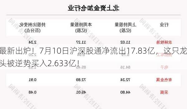 最新出炉！7月10日沪深股通净流出17.83亿，这只龙头被逆势买入2.633亿！