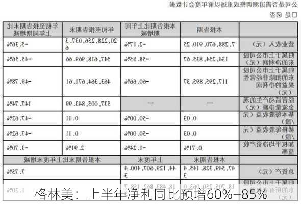 格林美：上半年净利同比预增60%―85%