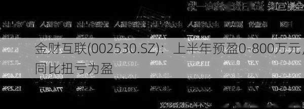 金财互联(002530.SZ)：上半年预盈0-800万元，同比扭亏为盈