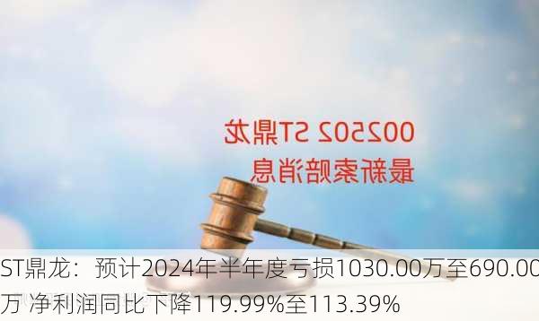 ST鼎龙：预计2024年半年度亏损1030.00万至690.00万 净利润同比下降119.99%至113.39%